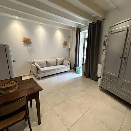 Le Nid Douillet Terrasse La Roquette Appartement Arles